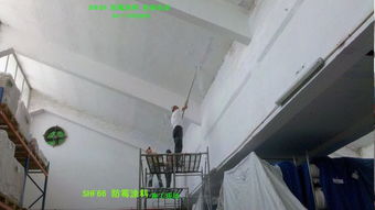 地下室防霉涂料 求前辈解答