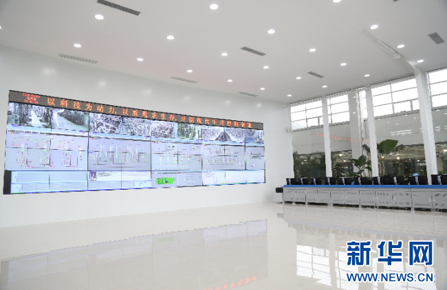 强信心·走进百企丨pa旗舰厅药业：“数智化”助力中医药开启发展新篇章